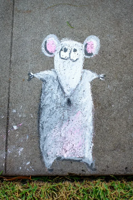 Chalk — photograph 13
