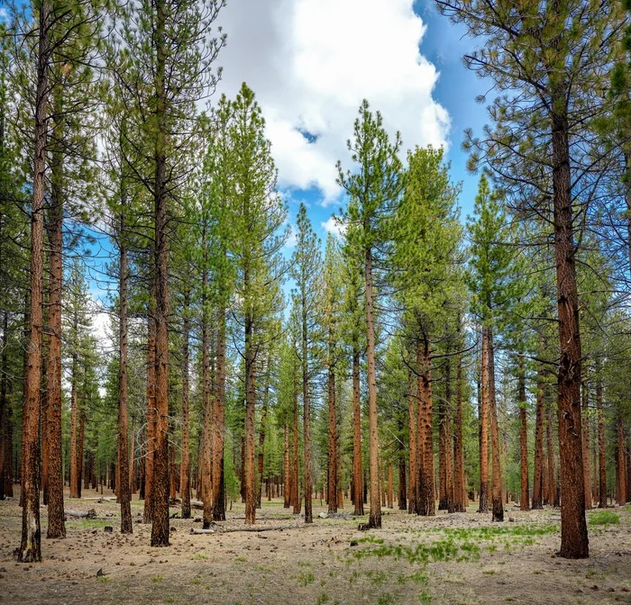 Landscapes — photograph 5