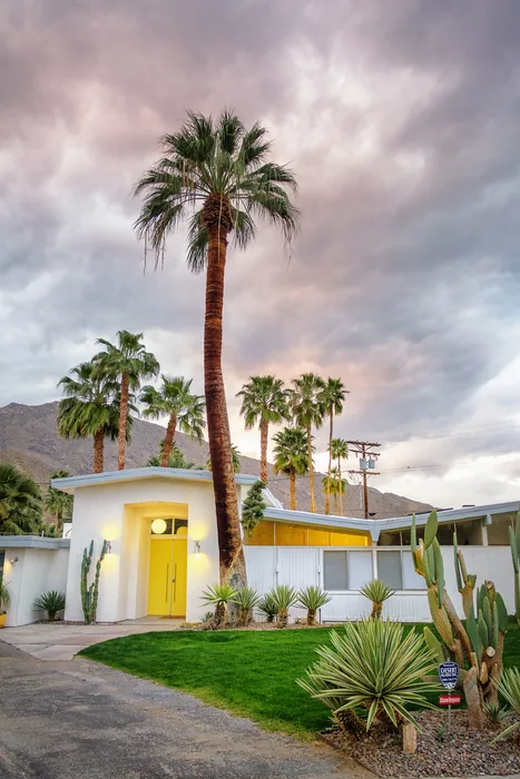 Palm Springs 2018 — photograph 4