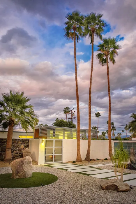 Palm Springs 2018 — photograph 7