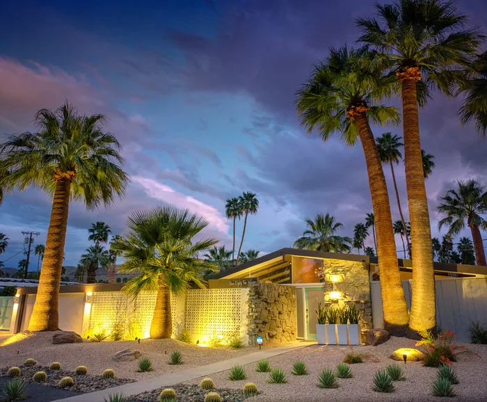 Palm Springs 2018 — photograph 8