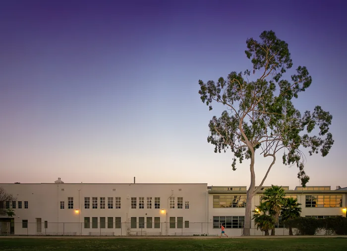 Santa Monica Urban Forest — photograph 24