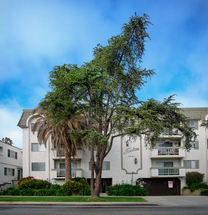 Santa Monica Urban Forest — photograph 27