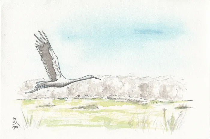 Sketchbook — photograph 15