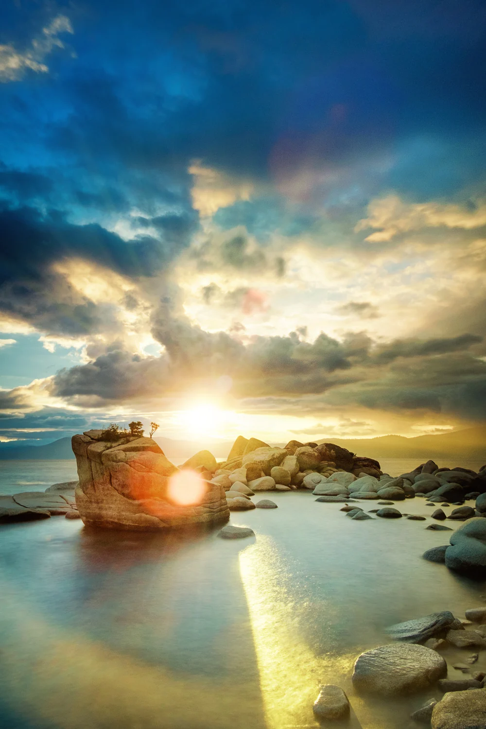 Bonzai Rock